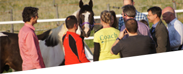 Pferdegestütztes Training mit equinnsicht
